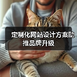 定制化网站设计方案助推品牌升级(图4) 定制化网站设计方案助推品牌升级(图4)