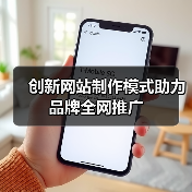 创新网站制作模式助力品牌全网推广(图3) 创新网站制作模式助力品牌全网推广(图3)