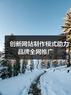 创新网站制作模式助力品牌全网推广(图2) 创新网站制作模式助力品牌全网推广(图2)