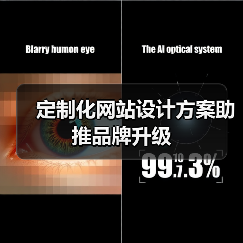 定制化网站设计方案助推品牌升级(图2) 定制化网站设计方案助推品牌升级(图2)