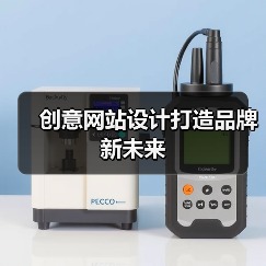 创意网站设计打造品牌新未来(图4) 创意网站设计打造品牌新未来(图4)