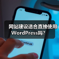 网站建设适合直接使用WordPress吗?(图3) 网站建设适合直接使用WordPress吗?(图3)