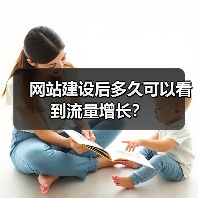 网站建设后多久可以看到流量增长？（图2）
