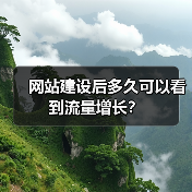 网站建设后多久可以看到流量增长？（图1）