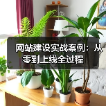 网站建设实战案例:从零到上线全过程(图2) 网站建设实战案例:从零到上线全过程(图2)