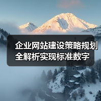 企业网站建设策略规划全解析实现标准数字（图3）