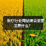 医疗行业网站建设需要注意什么？（图2）