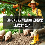 医疗行业网站建设需要注意什么？（图4）