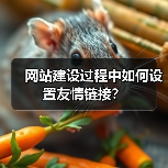 网站建设过程中如何设置友情链接?(图3) 网站建设过程中如何设置友情链接?(图3)