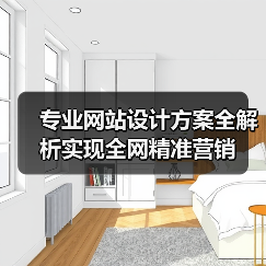 专业网站设计方案全解析实现全网精准营销（图1）
