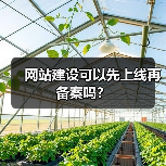 网站建设可以先上线再备案吗？（图4）