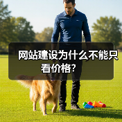 网站建设为什么不能只看价格?(图2) 网站建设为什么不能只看价格?(图2)