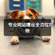 专业网站建设全流程攻略（图1）