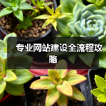 专业网站建设全流程攻略（图3）