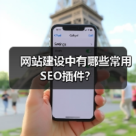 网站建设中有哪些常用SEO插件?(图4) 网站建设中有哪些常用SEO插件?(图4)