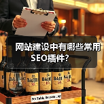 网站建设中有哪些常用SEO插件?(图1) 网站建设中有哪些常用SEO插件?(图1)