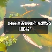 网站建设后如何配置SSL证书？（图1）
