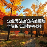 企业网站建设策略规划全解析实现数字化转(图1) 企业网站建设策略规划全解析实现数字化转(图1)