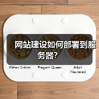 网站建设如何部署到服务器？（图2）
