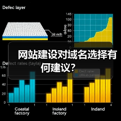 网站建设对域名选择有何建议？（图2）