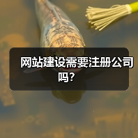 网站建设需要注册公司吗?(图4) 网站建设需要注册公司吗?(图4)
