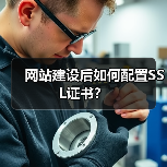 网站建设后如何配置SSL证书？（图3）