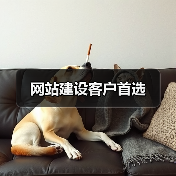 网站建设客户首选(图4) 网站建设客户首选(图4)