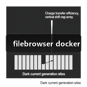 filebrowser docker（图2）