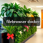 filebrowser docker（图3）