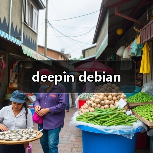 deepin debian(图3) deepin debian(图3)