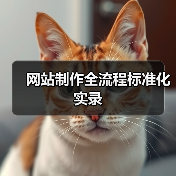 网站制作全流程标准化实录(图1) 网站制作全流程标准化实录(图1)