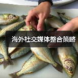 海外社交媒体整合策略（图3）