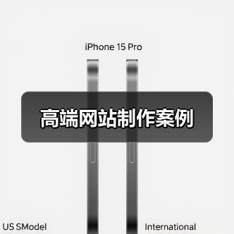 高端网站制作案例(图2) 高端网站制作案例(图2)