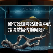如何处理网站建设中的跨境数据传输问题?(图1) 如何处理网站建设中的跨境数据传输问题?(图1)