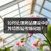 如何处理网站建设中的跨境数据传输问题?(图3) 如何处理网站建设中的跨境数据传输问题?(图3)