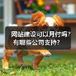 网站建设可以月付吗?有哪些公司支持?(图3) 网站建设可以月付吗?有哪些公司支持?(图3)