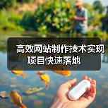 高效网站制作技术实现项目快速落地（图1）