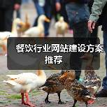 餐饮行业网站建设方案推荐(图4) 餐饮行业网站建设方案推荐(图4)