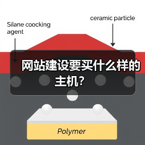 网站建设要买什么样的主机?(图4) 网站建设要买什么样的主机?(图4)