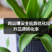 网站建设全链路优化提升品牌转化率(图3) 网站建设全链路优化提升品牌转化率(图3)