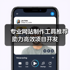 专业网站制作工具推荐助力高效项目开发（图2）