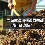 网站建设如何设置关键词排名追踪?(图1) 网站建设如何设置关键词排名追踪?(图1)