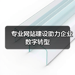 专业网站建设助力企业数字转型（图4）