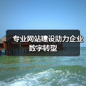 专业网站建设助力企业数字转型（图3）