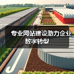 专业网站建设助力企业数字转型（图2）