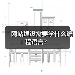 网站建设需要学什么编程语言？（图4）