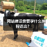 网站建设需要学什么编程语言？（图3）