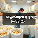 网站建设中常用的图标库有哪些?(图4) 网站建设中常用的图标库有哪些?(图4)