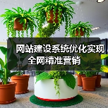 网站建设系统优化实现全网精准营销（图2）