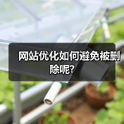 网站优化如何避免被删除呢?(图3) 网站优化如何避免被删除呢?(图3)